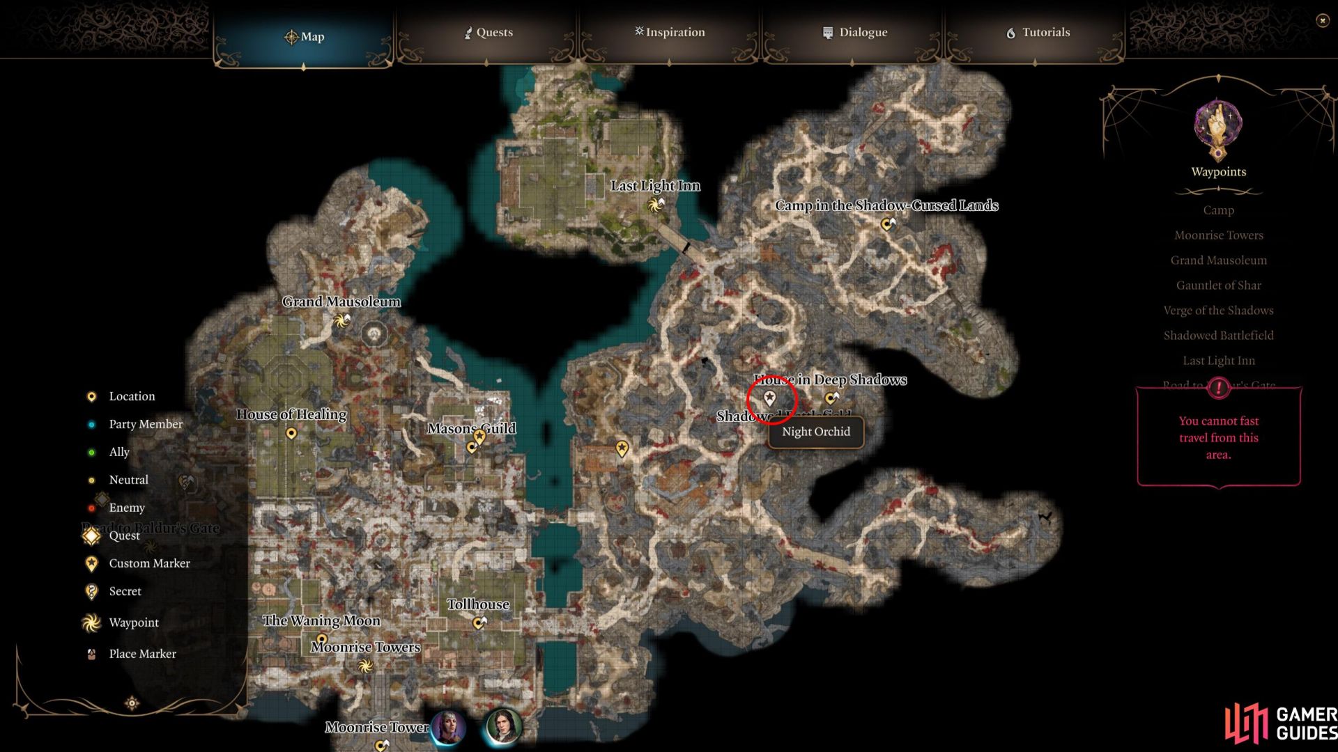 Exploring BG3 Night Orchids: A Mystical Journey Through the World of Baldur's Gate 3