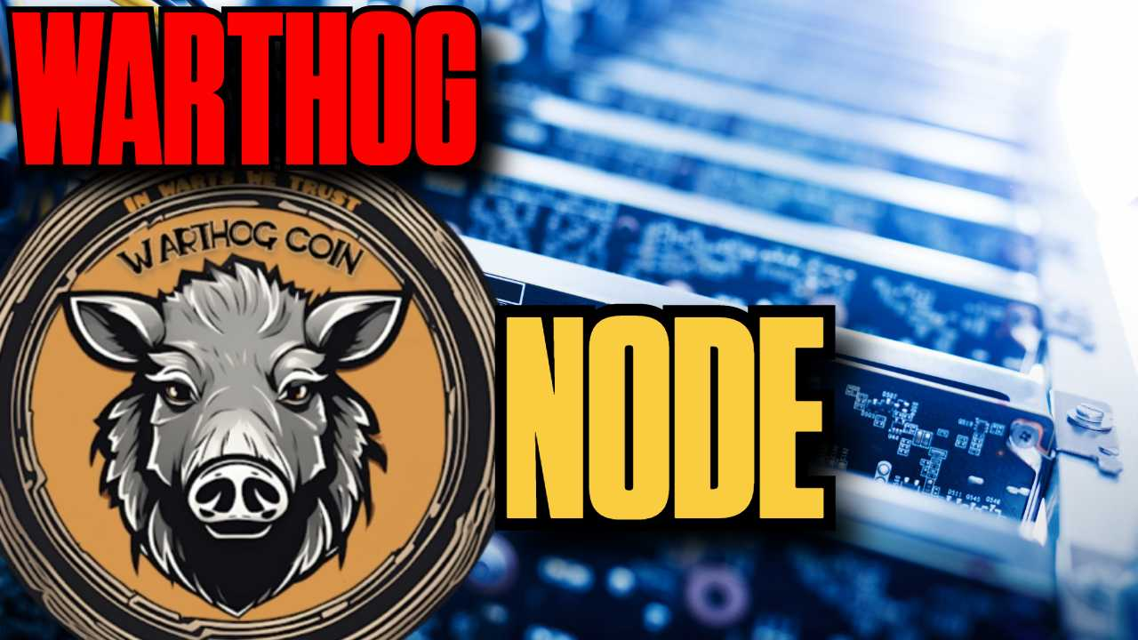 Warthog Node Guide: Mastering the Warthog Node in Your Game