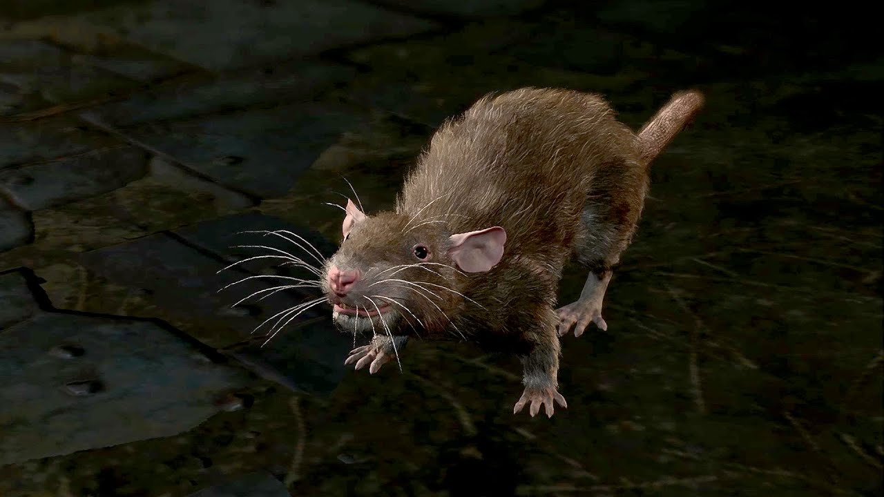 The Rivington Rats in BG3: Unraveling the Mysteries of Baldur's Gate 3's Most Notorious Faction
