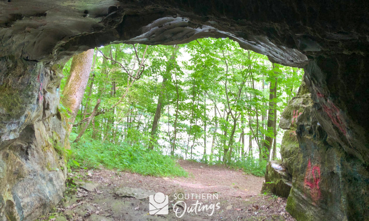 Exploring the TVA Cave Mountain Small Wilderness Area: A Hidden Gem for Nature Lovers