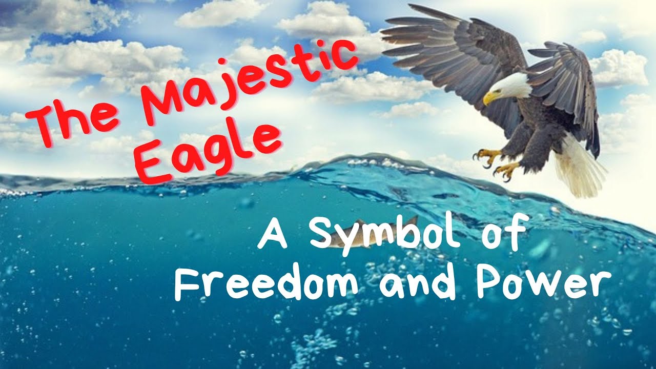 Exploring Eagles' Splendor: A Symbol of Majestic Freedom