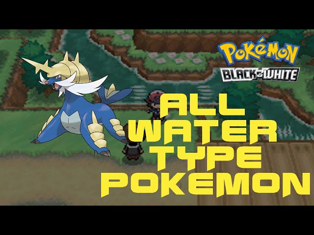 Top Water Pokémon in Black and White: Master the Water Type in Unova