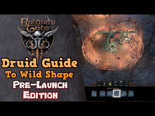 Baldur's Gate 3 Wildshape: Mastering the Art of Shape-Shifting for Druid Players