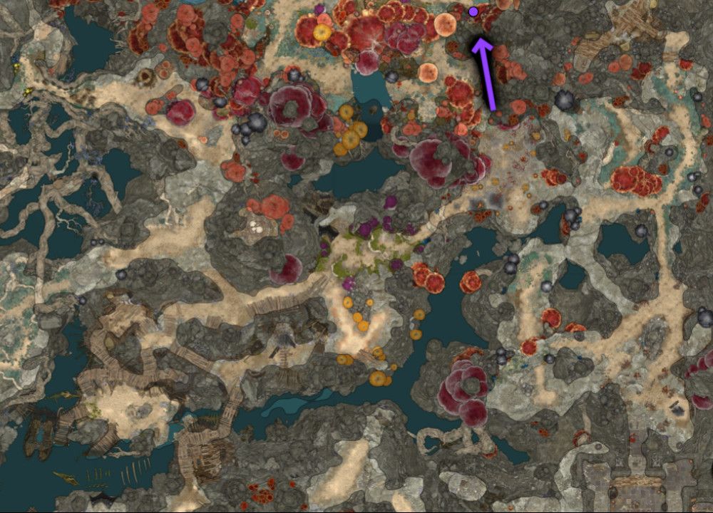 BG3 Lifebringer: Understanding the Power and Role of Lifebringer in Baldur's Gate 3