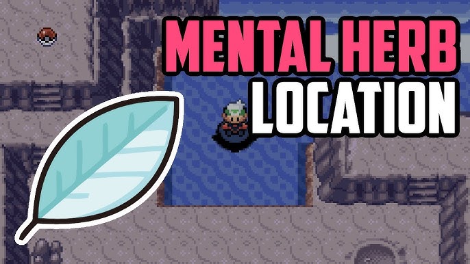 Where to Get Mental Herb in Pokémon Violet: A Complete Guide