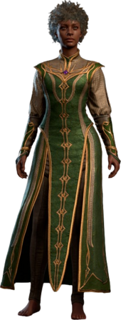 Baldur's Gate 3 Robe of Supreme Defenses: Unlocking the Ultimate Protection for Your Hero