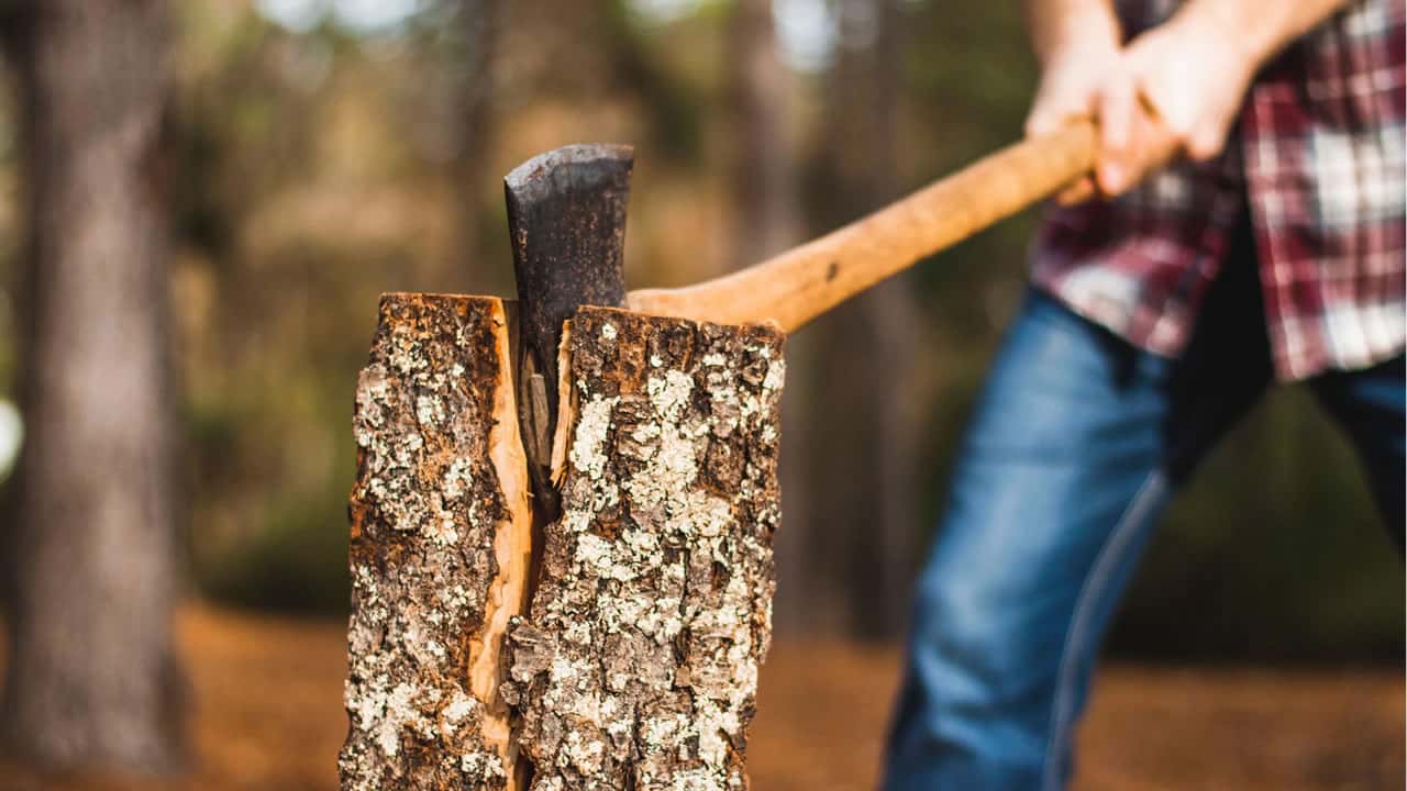 Mastering the Woodcutter's Axe: A Tool of Precision and Power