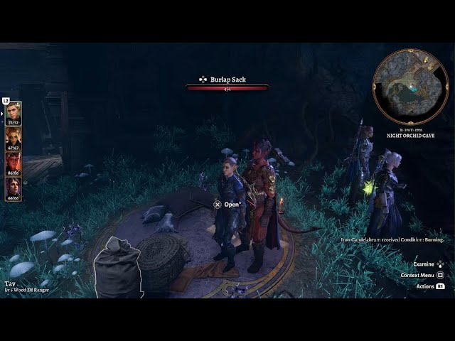 BG3 Night Orchid Cave: A Detailed Guide to Exploring the Mystical Location