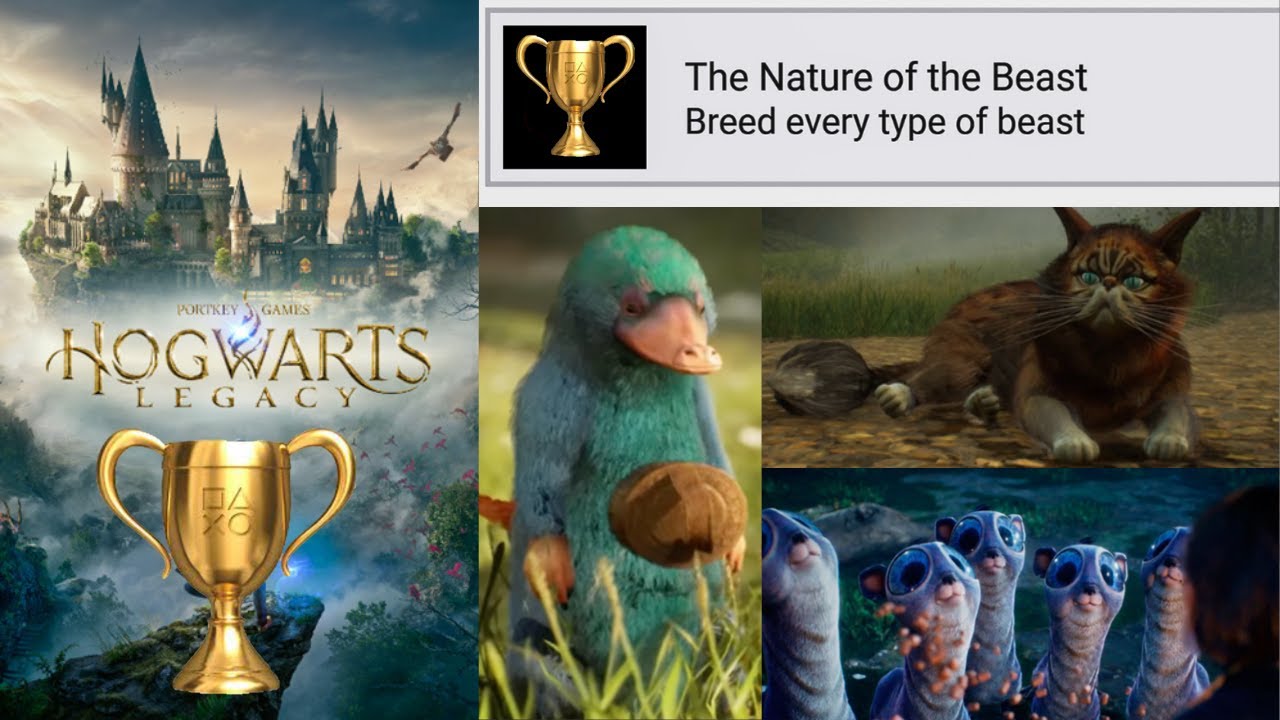 The Nature of the Beast in Hogwarts Legacy: Unraveling the Mysteries Behind Dark Creatures