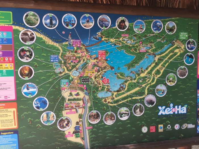 Explore the Xel-Ha Map: Your Ultimate Guide to the World's Most Spectacular Waterpark