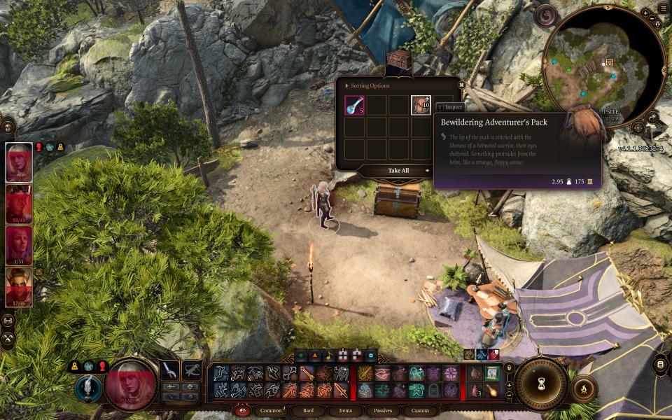 Baldur's Gate 3 Bewildering Adventurer's Pack: What It Is and How It Enhances Your Journey