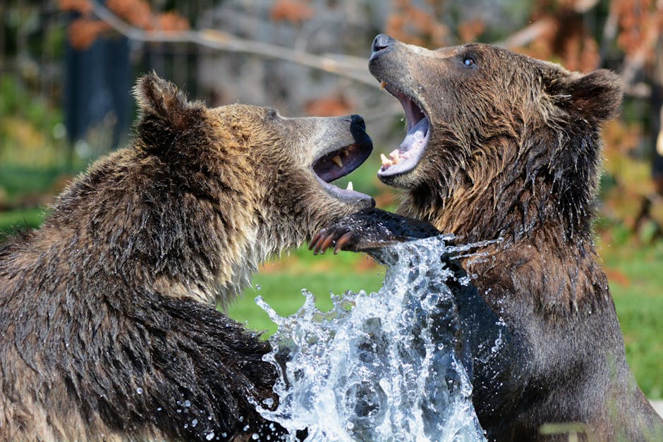 Bear's Endurance: Exploring the Secrets Behind the Resilience of Bears
