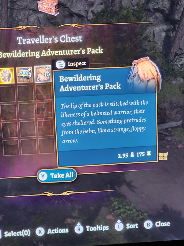 Baldur's Gate 3 Bewildering Adventurer's Pack: What It Is and How It Enhances Your Journey