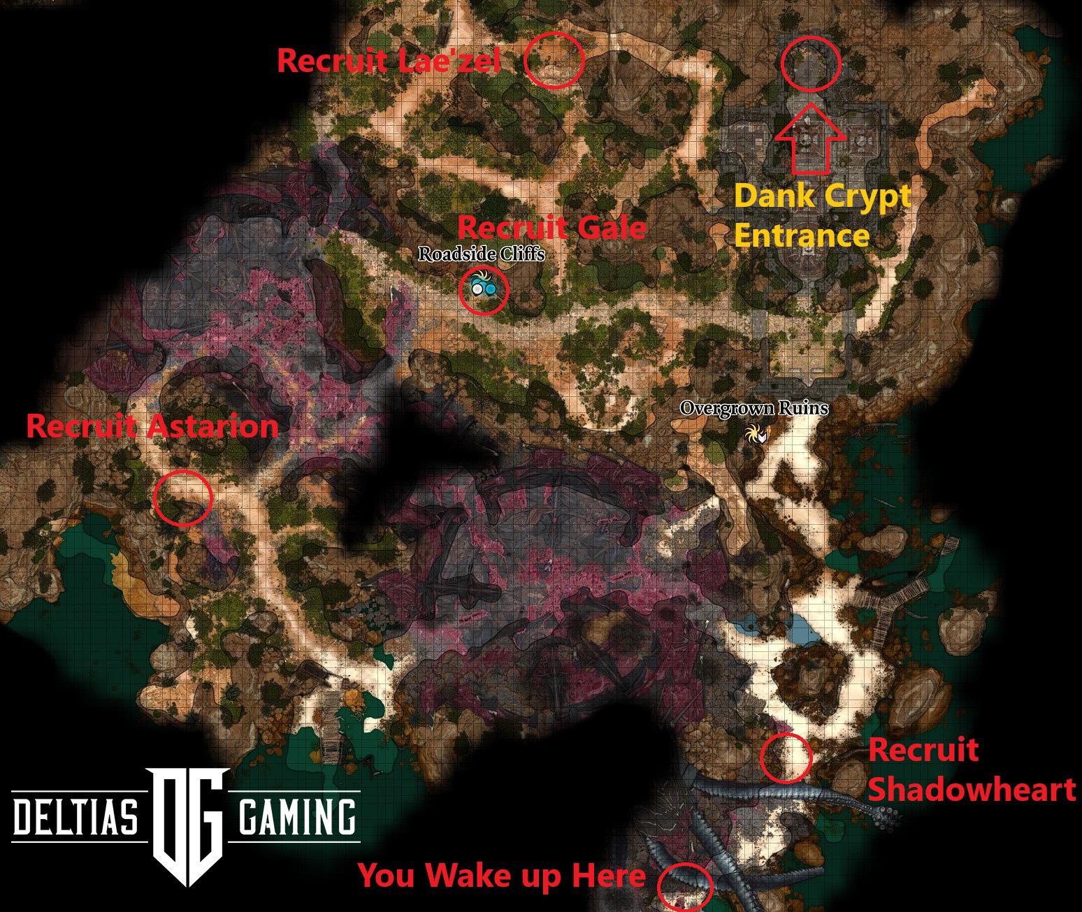 BG3 The Watcher's Guide: A Complete Overview for Players