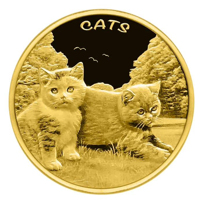 Cats Grace: The Elegance and Charm of Our Feline Companions