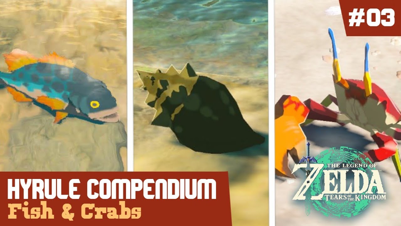 TotK Fish Guide: A Complete Resource for Catching and Using Fish in The Legend of Zelda: Tears of the Kingdom