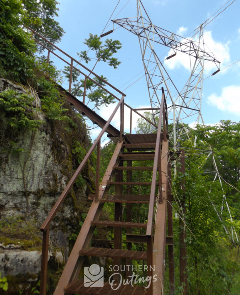 Exploring the TVA Cave Mountain Small Wilderness Area: A Hidden Gem for Nature Lovers