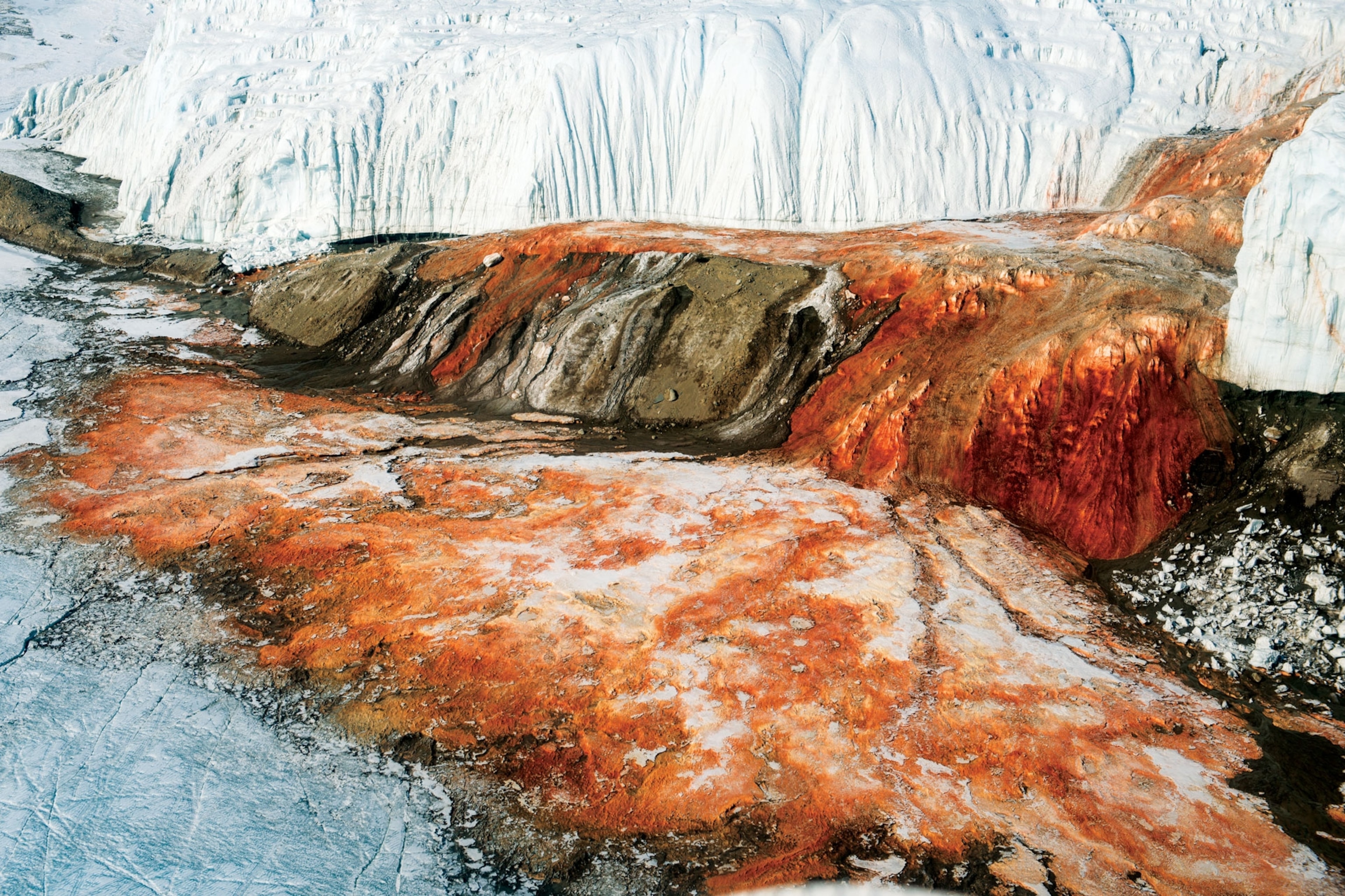 Why is Halsin's Blood White? Exploring the Mystery Behind this Unique Phenomenon