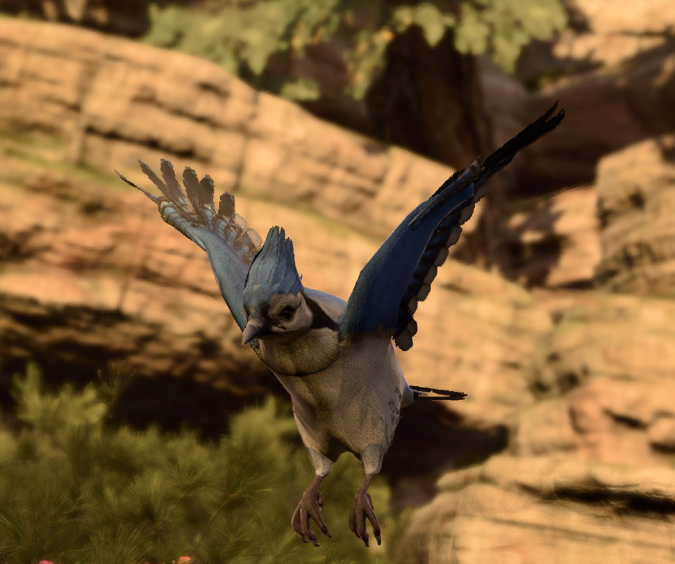 How to Find the Blue Jays in Baldur’s Gate 3: A Comprehensive Guide