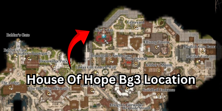 Facemaker's Boutique Location BG3: A Complete Guide to Finding the Hidden Gem in Baldur's Gate 3