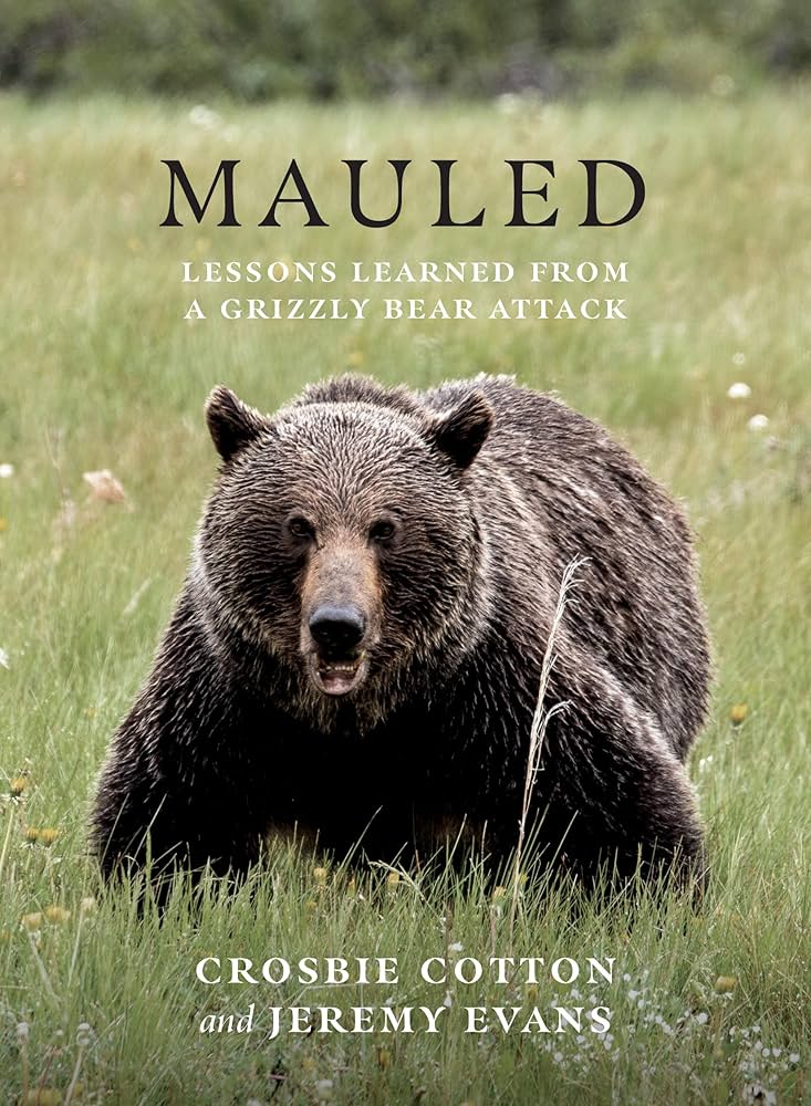 Bear's Endurance: Exploring the Secrets Behind the Resilience of Bears