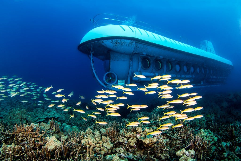 What to Do After Seeing Submarine Sapphire: A Guide to Enhancing Your Experience
