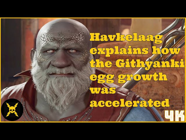 Understanding Havkelaag: A Comprehensive Guide