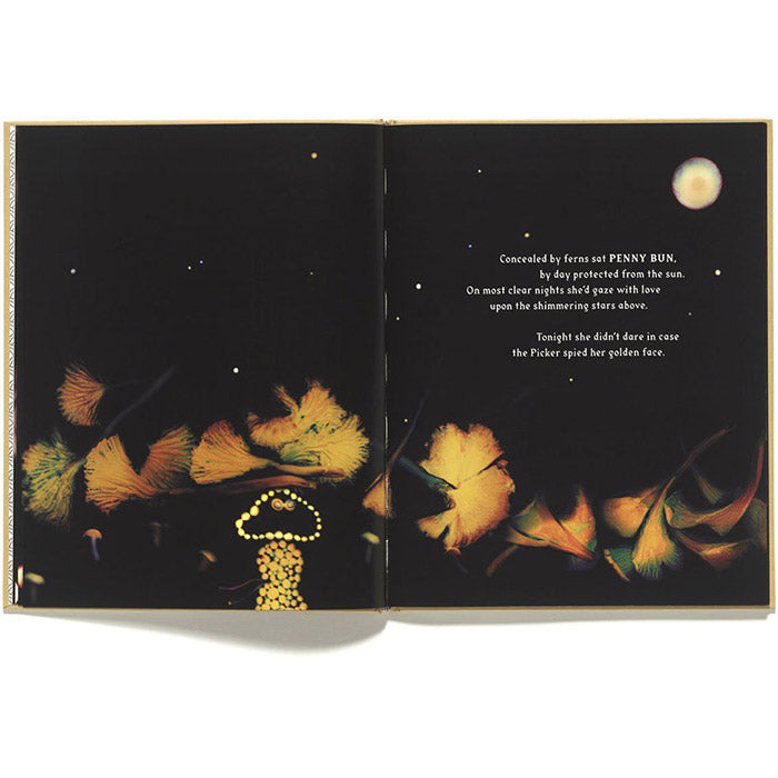 The Mushroom Picker Book: A Journey Through Nature and Mind