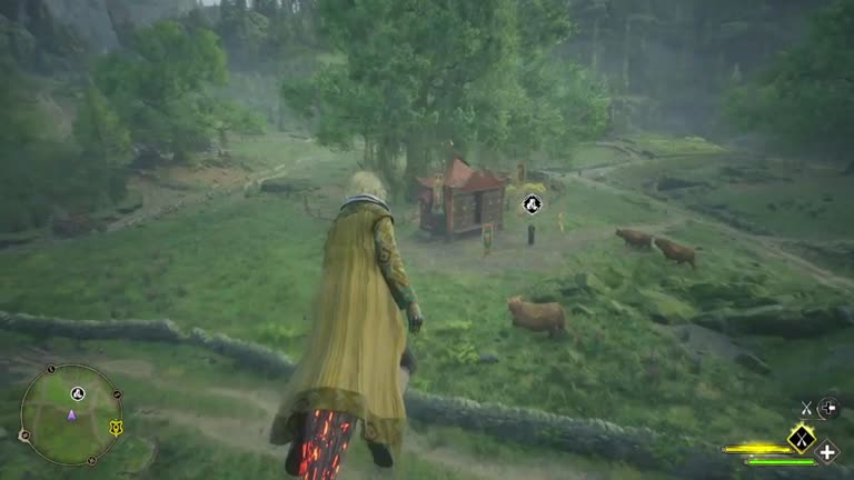 Exploring the Wanderer Shop: A Hidden Treasure Trove for Gamers