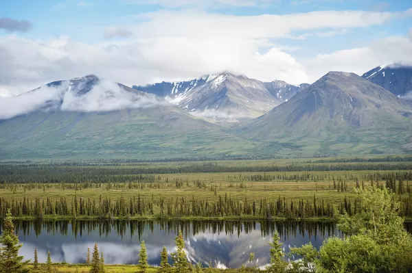 Boreal Blue: The Color of Serenity and Nature’s Depth