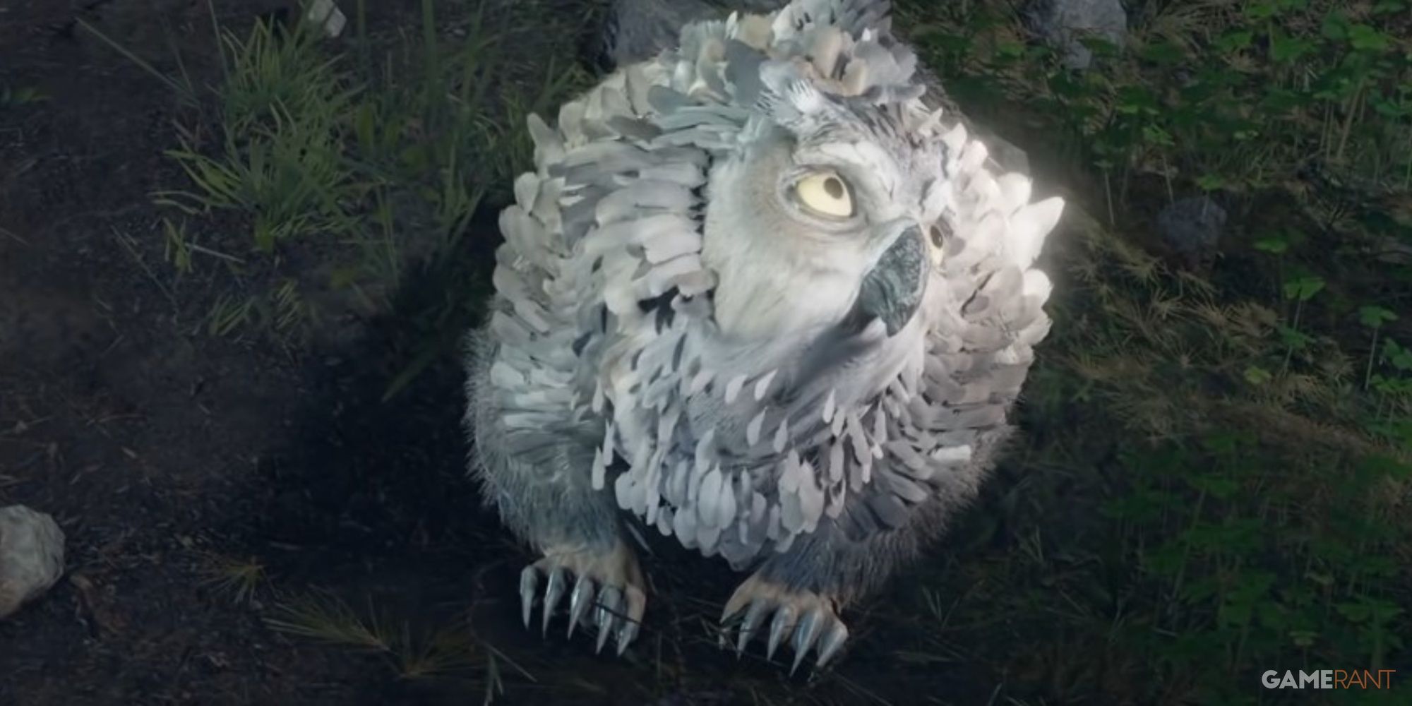 Everything You Need to Know About BG3 Owl's Wisdom: A Comprehensive Guide