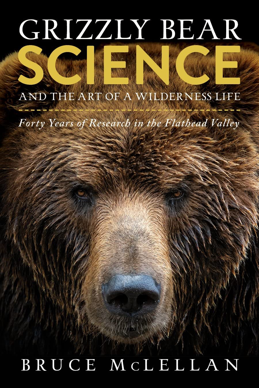 Bear's Endurance: Exploring the Secrets Behind the Resilience of Bears