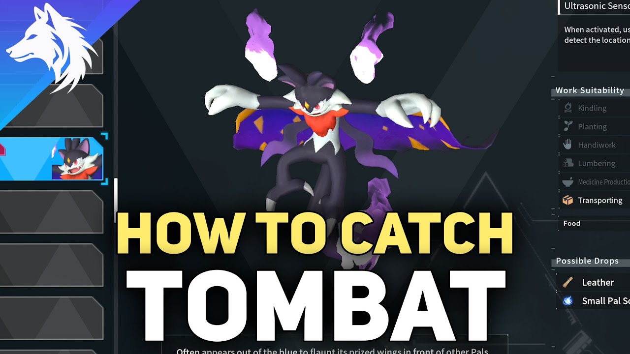 Tombat Habitat: Exploring the Mysterious World of Tombat's Home Environment