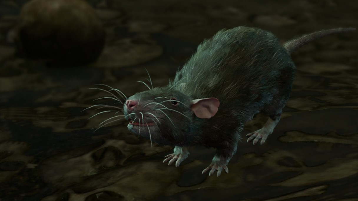 Exploring the Dark Justiciar Rat in BG3: Unveiling Secrets and Strategy