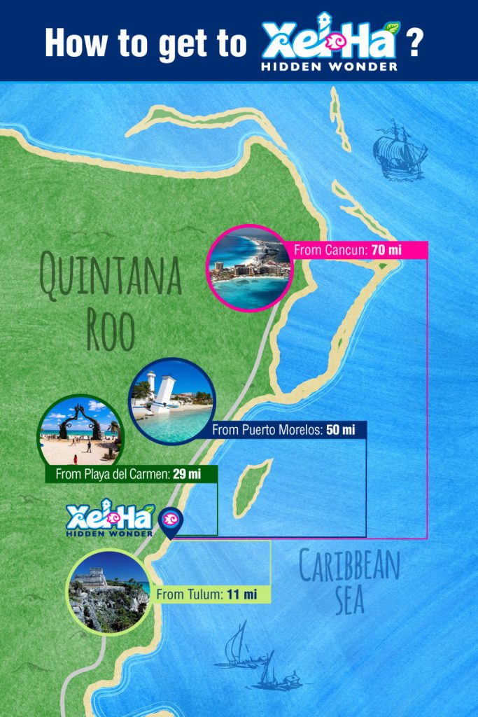 Ultimate Guide to Xel-Há Map: Discovering the Wonders of Mexico's Natural Theme Park