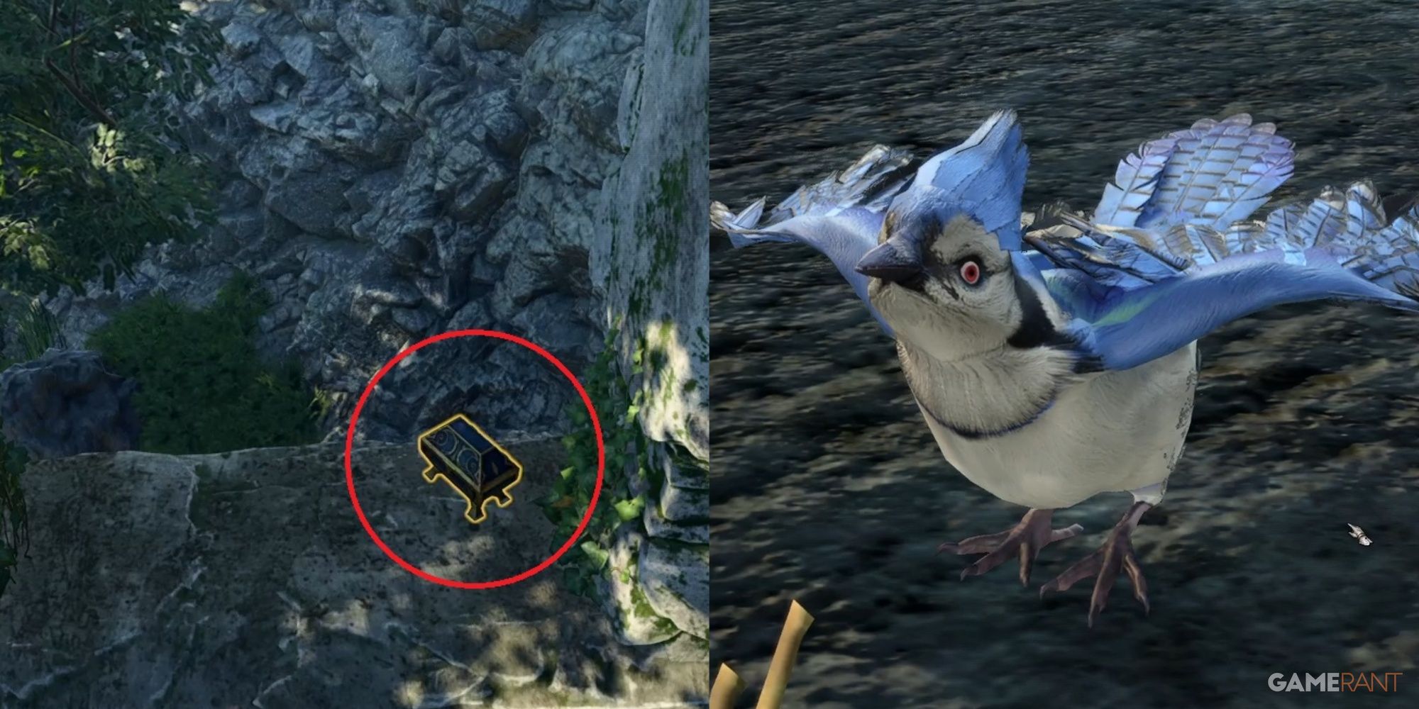 Exploring BG3 Blue Jay Key and Rosymorn Monastery: Secrets and Strategies