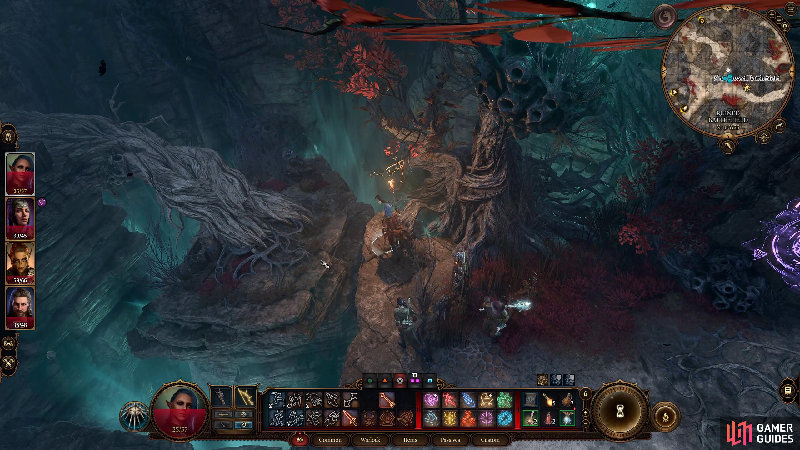 BG3 Night Orchid Cave: A Detailed Guide to Exploring the Mystical Location