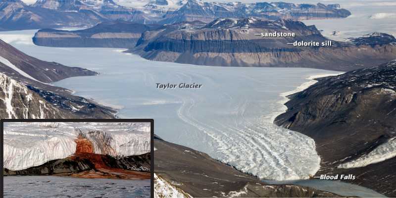 Why is Halsin's Blood White? Exploring the Mystery Behind this Unique Phenomenon