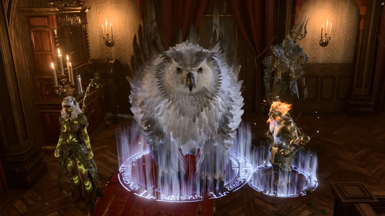 Everything You Need to Know About BG3 Owl's Wisdom: A Comprehensive Guide