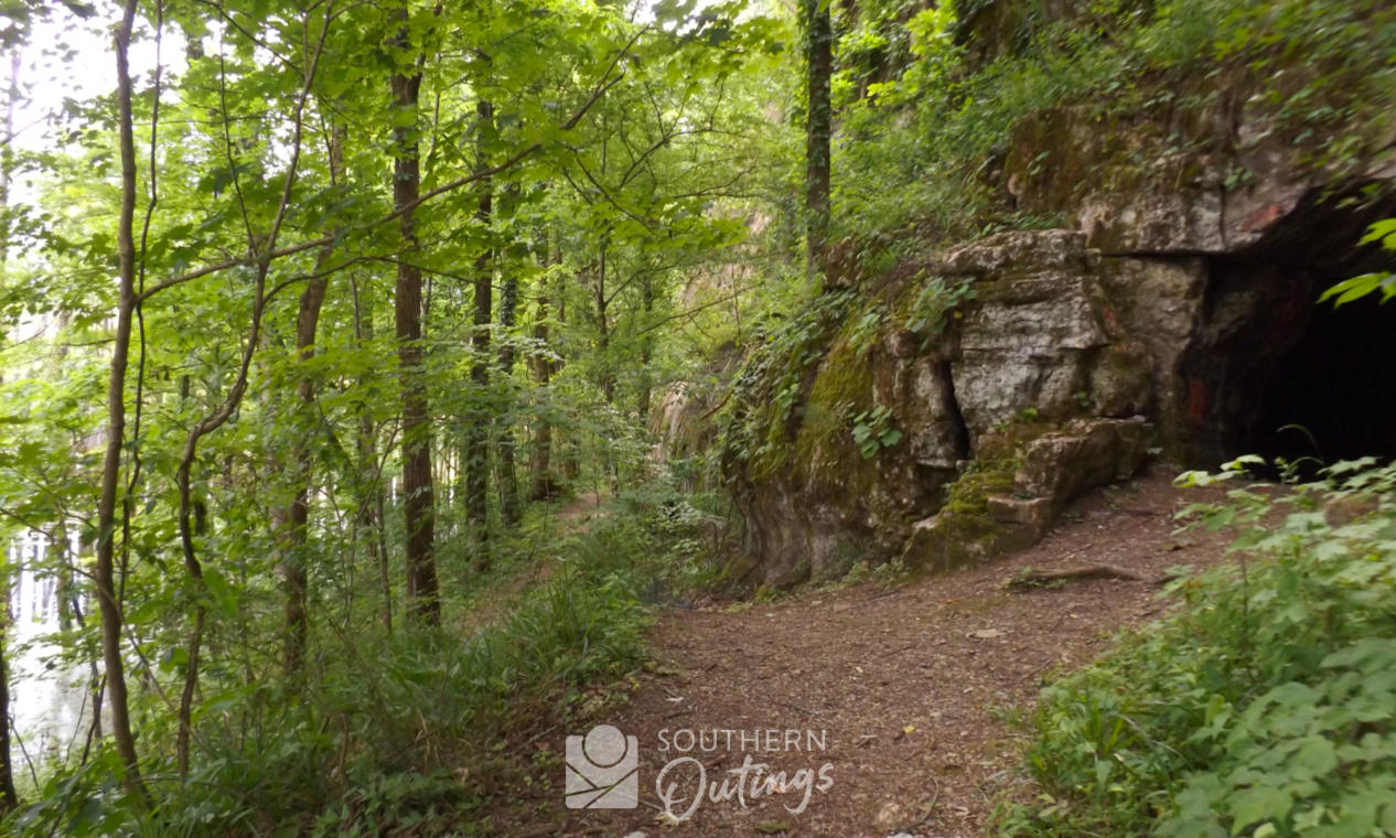 Exploring the TVA Cave Mountain Small Wilderness Area: A Hidden Gem for Nature Lovers