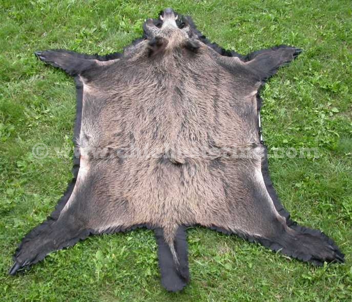 Everything You Need to Know About Wild Boar Pelt: Uses, Value, and How to Obtain It