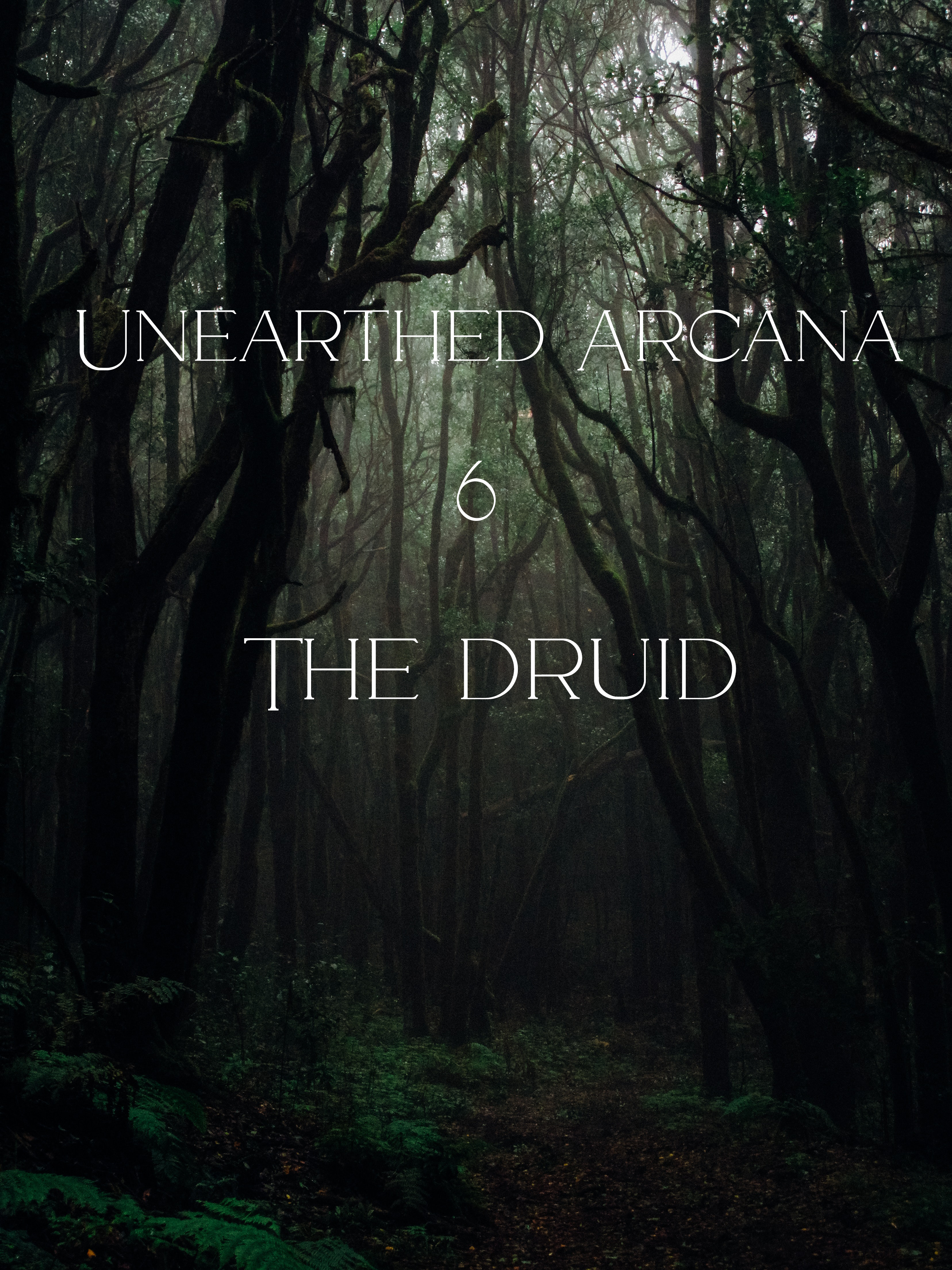 Druid Circle of the Moon: Embrace the Wild Power of Nature
