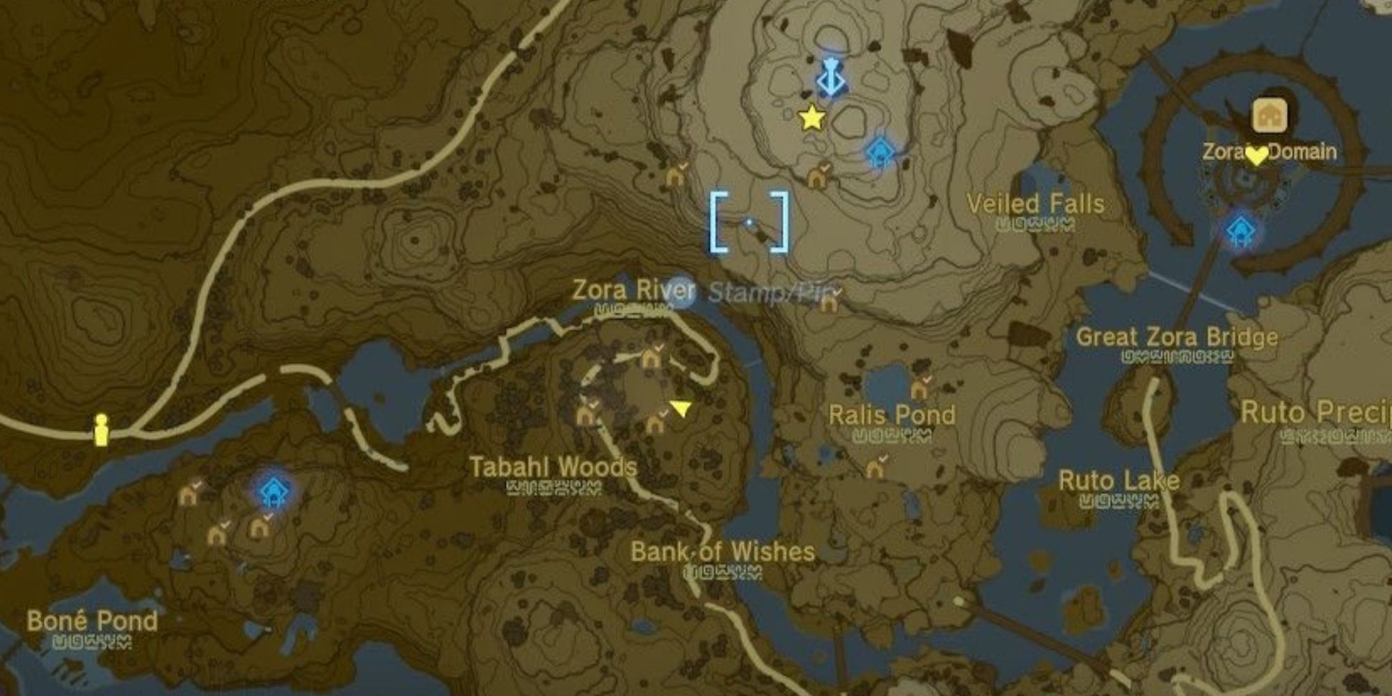 Everything You Need to Know About TOTK Sticky Lizards: Locations, Uses, and Tips
