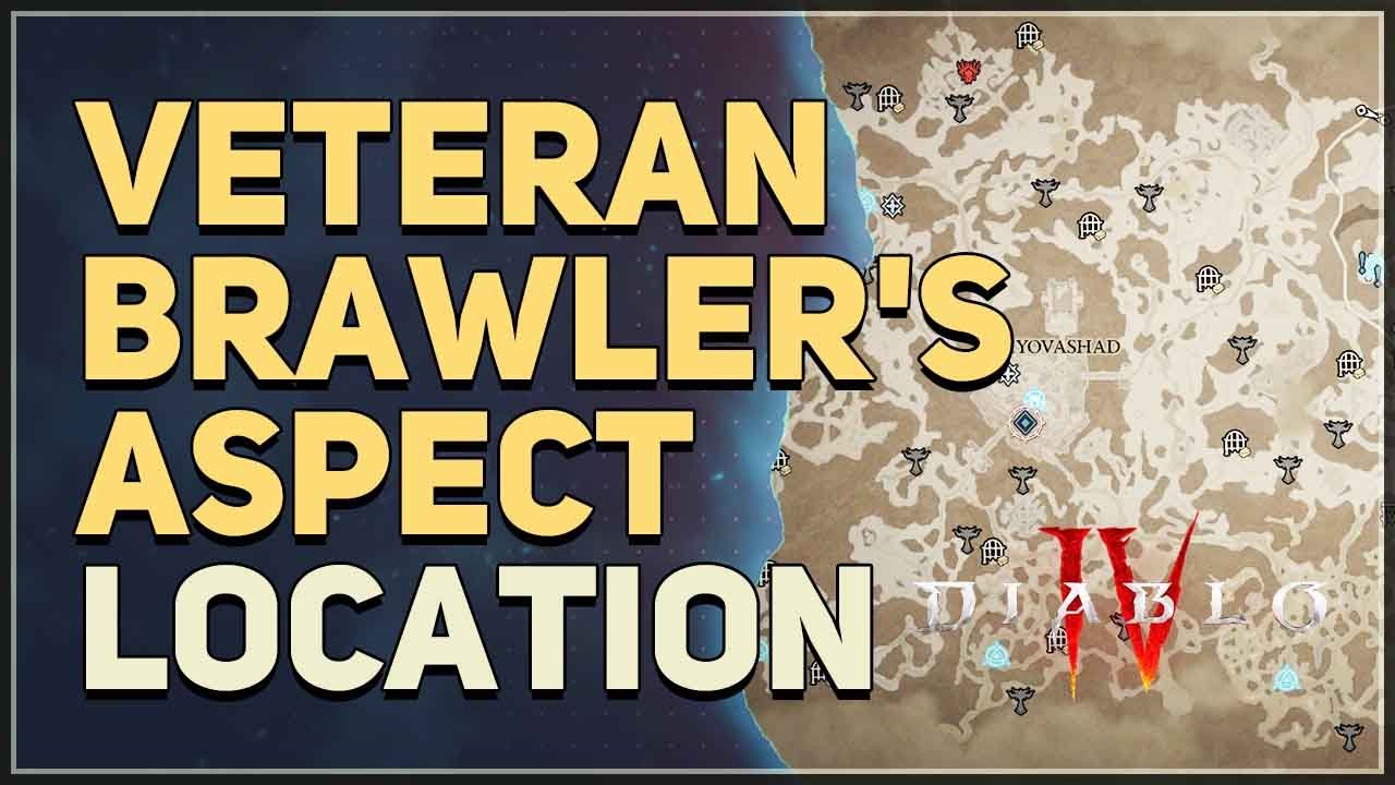 Veteran Brawler's Aspect: Unlocking the Power of Experience in Gaming