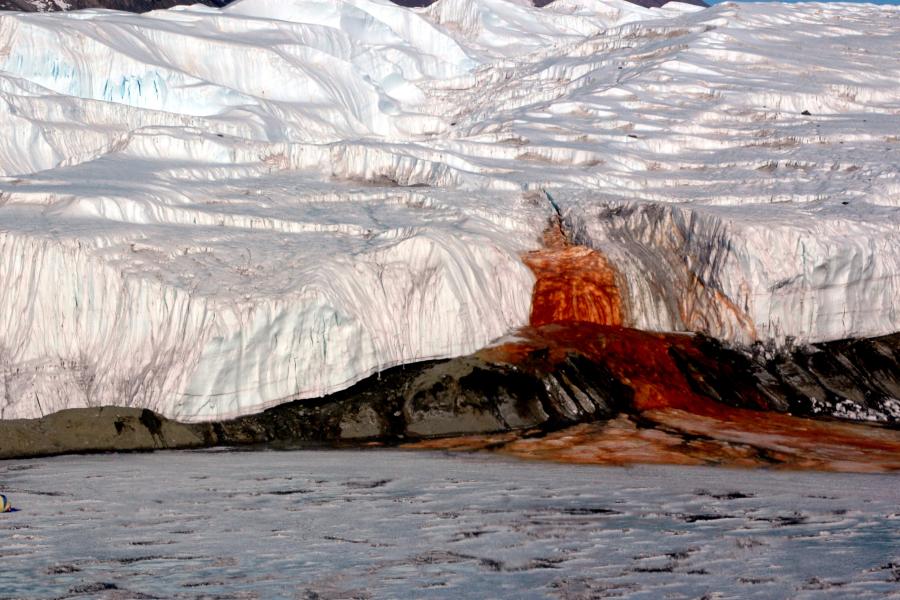 Why is Halsin's Blood White? Exploring the Mystery Behind this Unique Phenomenon