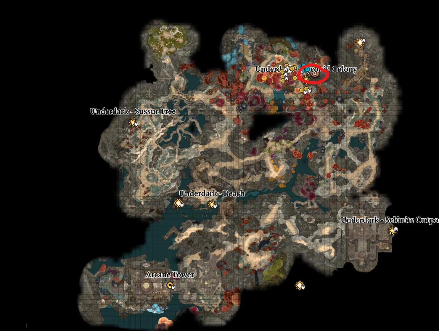 Complete Guide to BG3 All Scrolls: Locations, Usage, and Tips