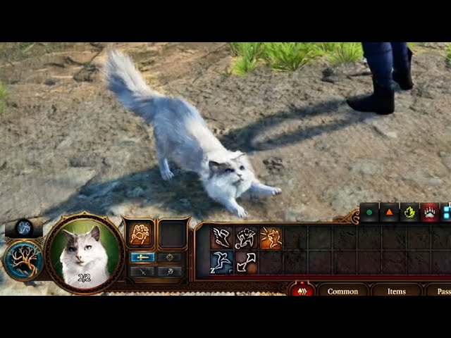 Understanding BG3 Cat's Grace: A Comprehensive Guide to Enhancing Your Gameplay