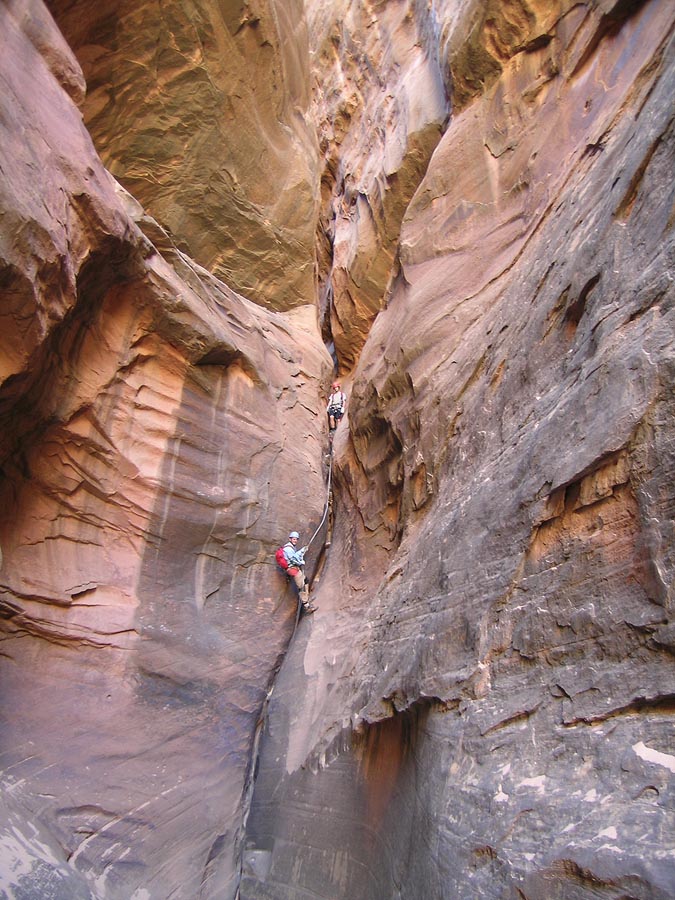 Exploring the Mysteries of Reed Canyon: Troubles, Tips, and Player Feedback