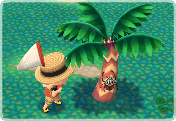 How to Catch a Beetle: A Complete Guide for Players