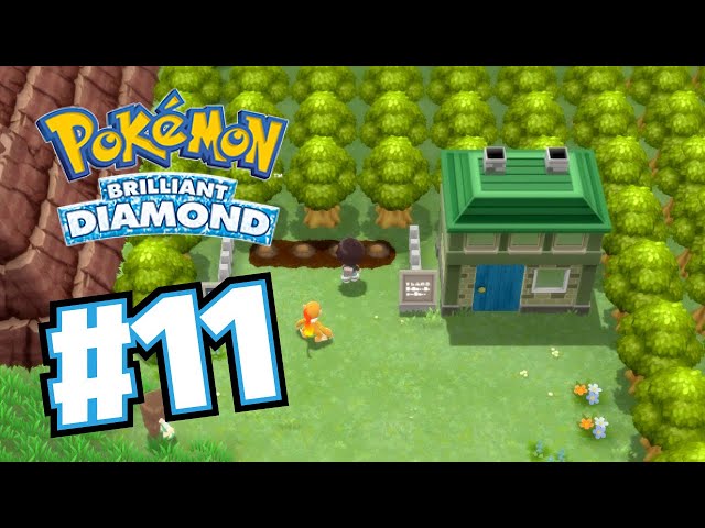 Exploring Route 208 in Brilliant Diamond: A Hidden Gem or Frustration Hub?